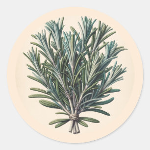 Rosemary Bunch Vintage Botanical Apothecary Plant Classic Round Sticker