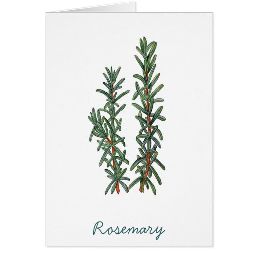 Rosemary Cards (Front)