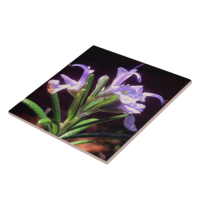 Rosemary Flowers Ceramic Tile (Side)