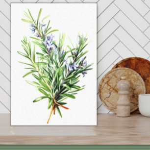 Rosemary Fresh Herb Watercolor Art for Kitchen Canvas Print