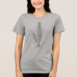 Rosemary Herb Botanical Illustration Tri-Blend Shirt