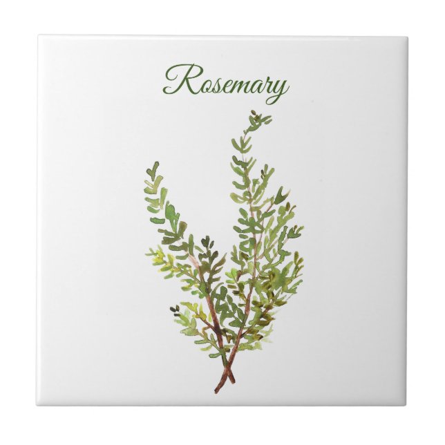 Rosemary Herb Greenery Kitchen Culinary Green chic Ceramic Tile (Front)