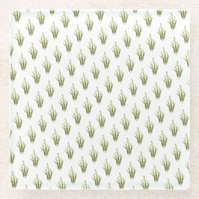 Rosemary herb kitchen art greenery rustic chic  glass coaster (Front)