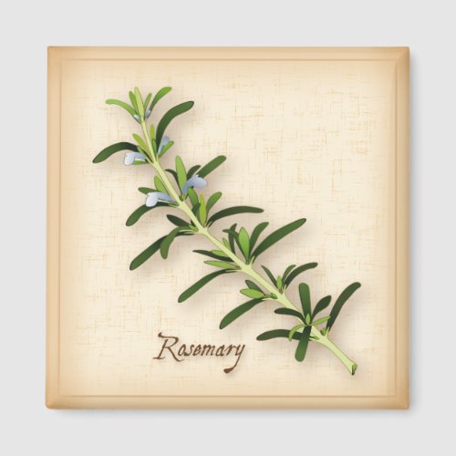 Rosemary Herb Magnet