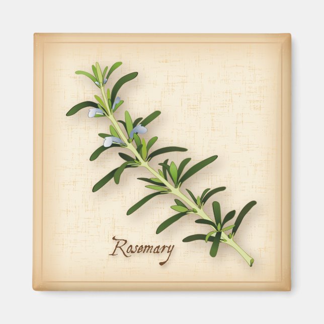 Rosemary Herb Magnet (Front)