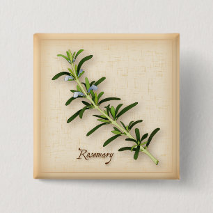 Rosemary Herb Pinback Button
