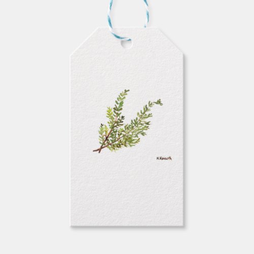 Rosemary herb Rosemary watercolour painting Gift Tags