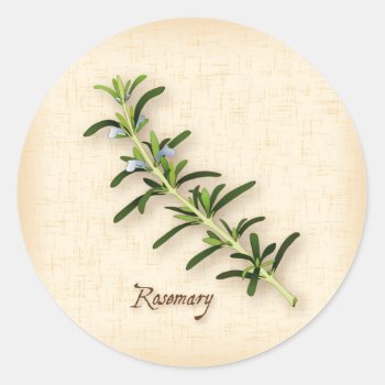 Rosemary Herb Round Stickers by pomegranate_gallery at Zazzle