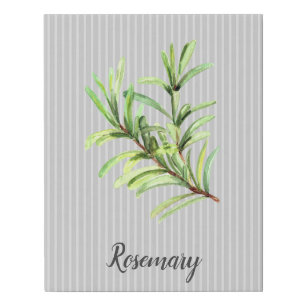 Rosemary Herb Watercolor Gray Faux Canvas Print