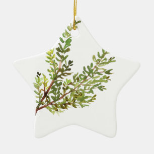 Rosemary herb Watercolor green botanical plant Ceramic Ornament