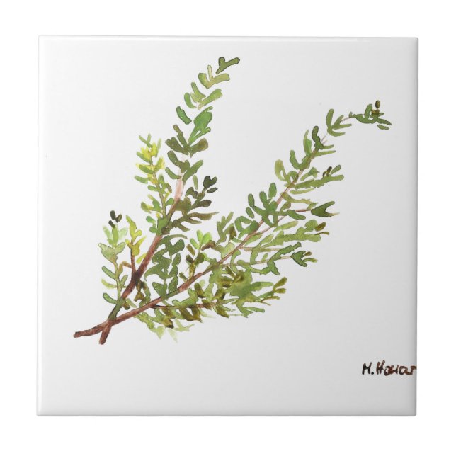 Rosemary herb watercolor kitchen Greenery rustic  Tile (Front)