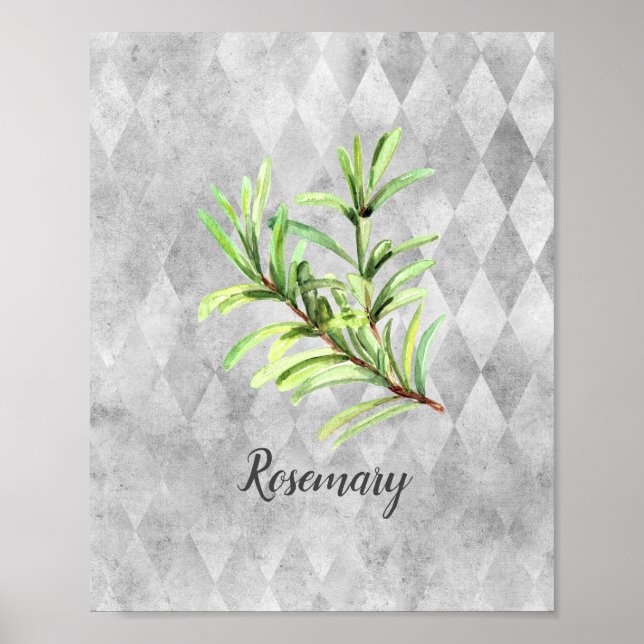 Rosemary Herb Watercolor  Poster (Front)