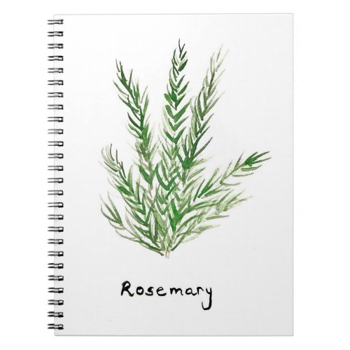 Rosemary herbs vintage kitchen garden watercolor notebook
