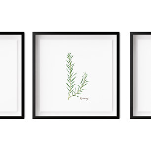 Rosemary Illustration Herbs Kitchen Wall Art