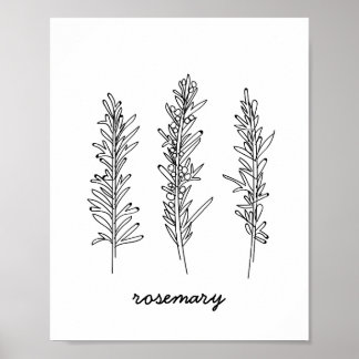 Rosemary Illustration Print