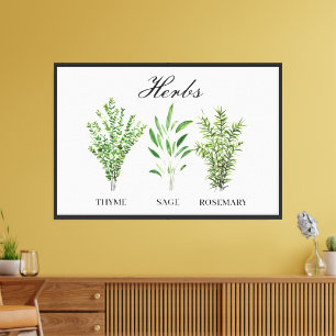 Rosemary Thyme Sage Herbs Culinary Kitchen Chef Canvas Print