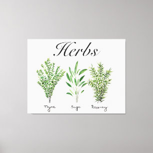 Rosemary Thyme Sage Herbs Culinary Kitchen Chef Canvas Print