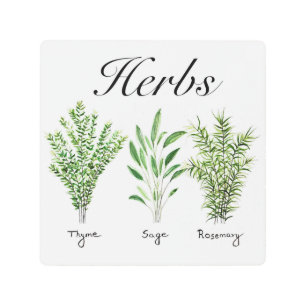 Rosemary Thyme Sage Herbs Culinary Kitchen Chef Metal Print