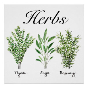 Rosemary Thyme Sage Herbs Culinary Kitchen Chef Poster