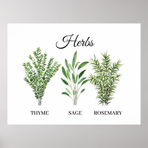 Rosemary Thyme Sage Herbs Culinary Kitchen Chef Poster