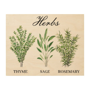 Rosemary Thyme Sage Herbs Culinary Kitchen Chef Wood Wall Art