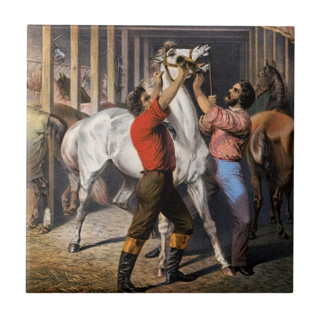 Rosenberg's Great East India Horse Invigorator. Ceramic Tile (Front)