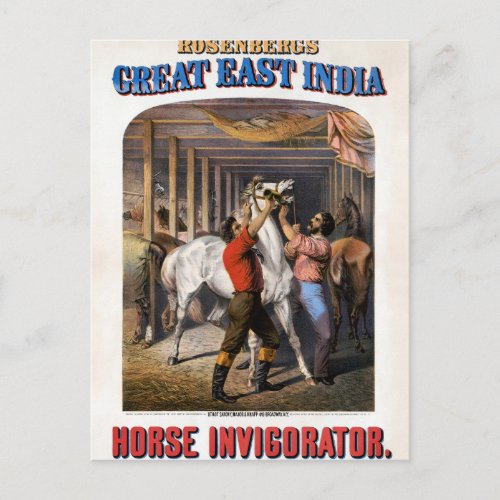 Rosenbergs Great East India Horse Invigorator Postcard