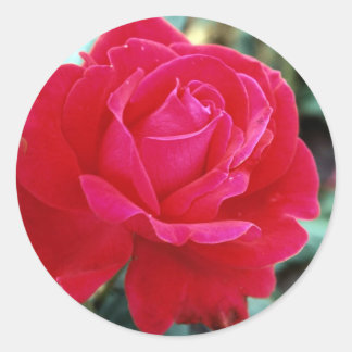 Roses 258 classic round sticker