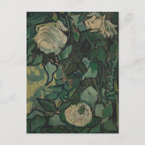 Roses and Beetle by Vincent Van Gogh Postcard