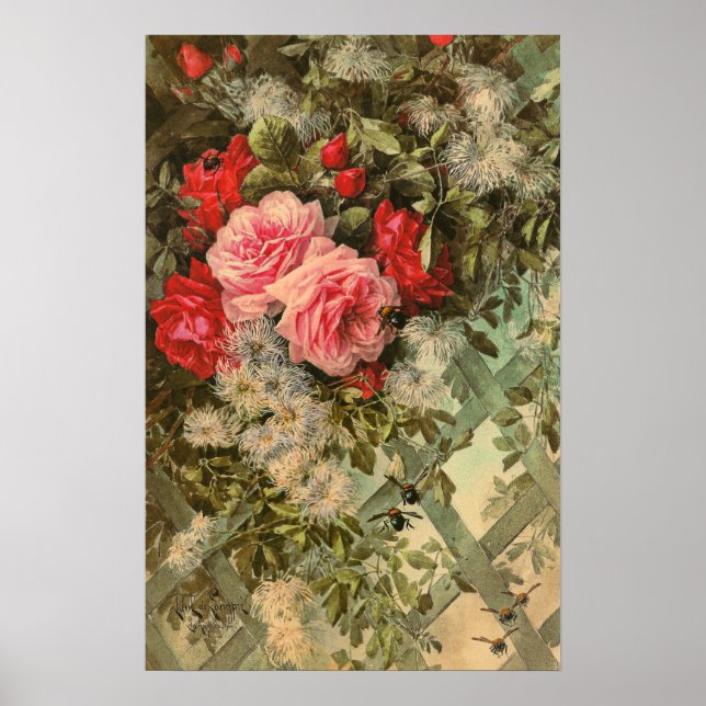 Roses and Clematis on a Trellis Poster (Front)