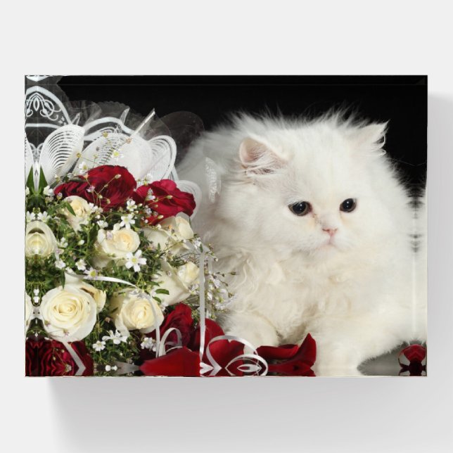 Roses and Kitty Paperweight (Front)
