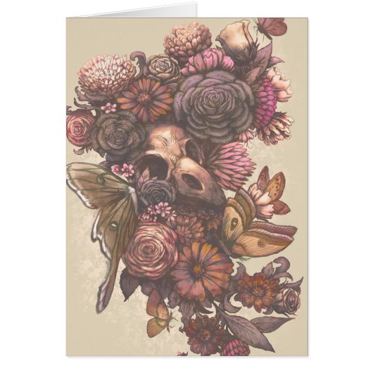 Roses and Moths Cards (Front)