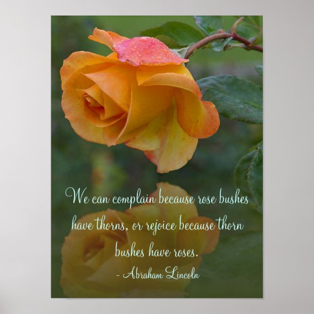 Roses and Thorns Inspirational Poster (Front)