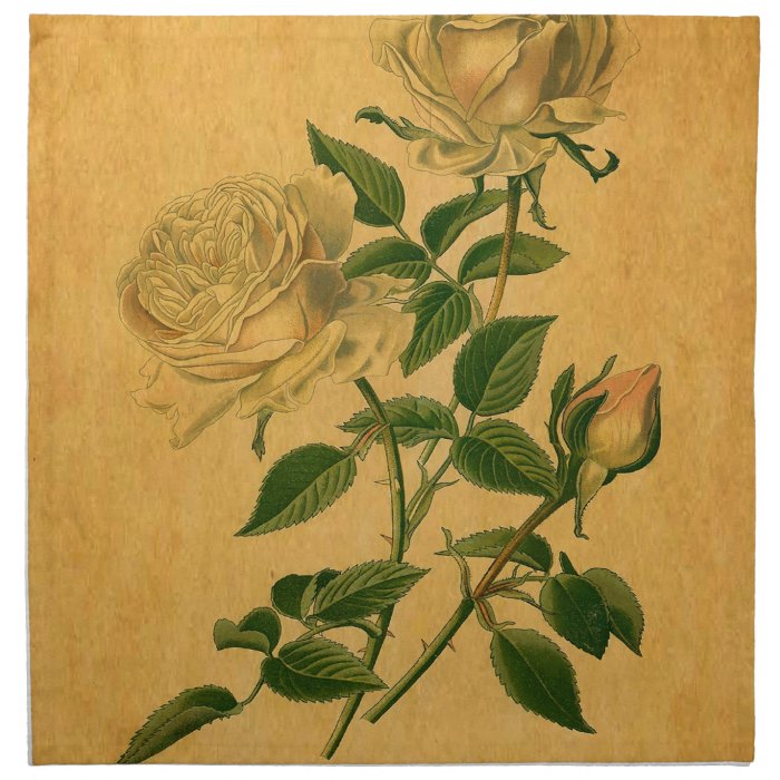 Roses are Golden Cloth Napkins