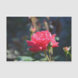 Roses are NY State Flower Tissue Paper