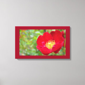 Roses Are Red Canvas Print