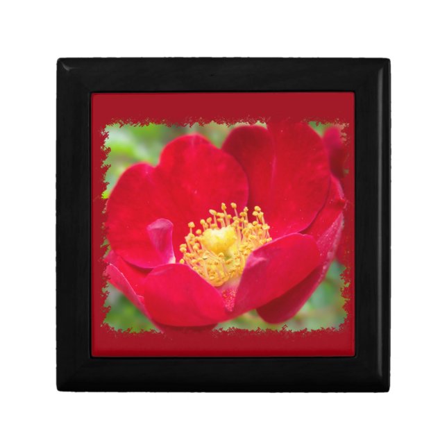 Roses Are Red Gift Box (Front)