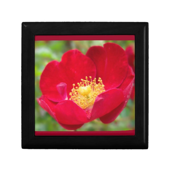 Roses Are Red Gift Box (Front)