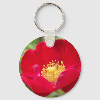 Roses Are Red Keychain
