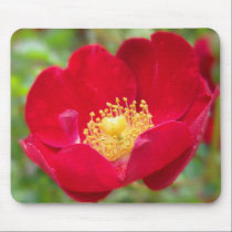 Roses Are Red Mousepad
