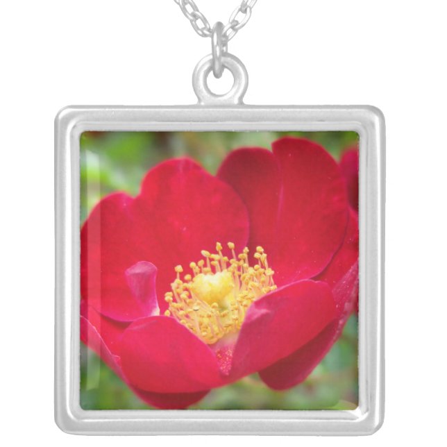 Roses Are Red Necklace (Front)