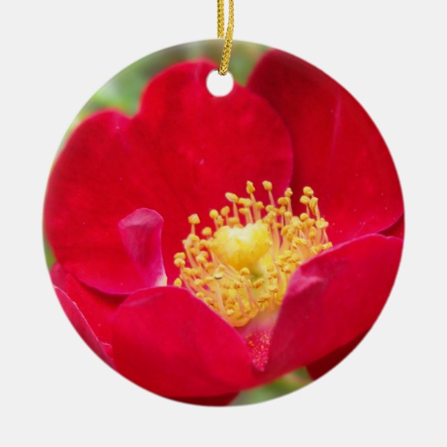 Roses Are Red Ornament (Front)