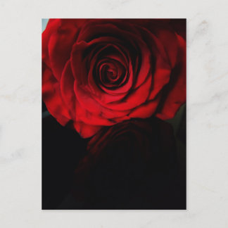 Roses are red.... postcard