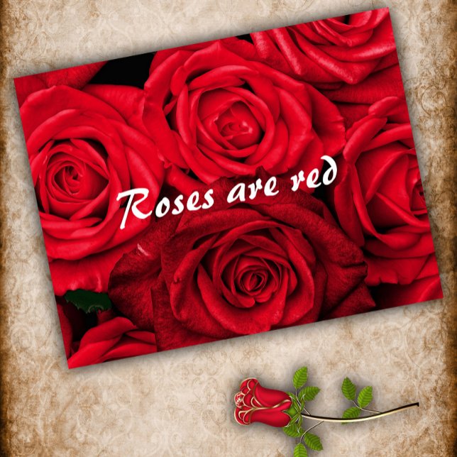 Roses are Red Valentine's Day Holiday Postcard (Creator Uploaded)
