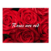 Roses are Red Valentine's Day Postcard