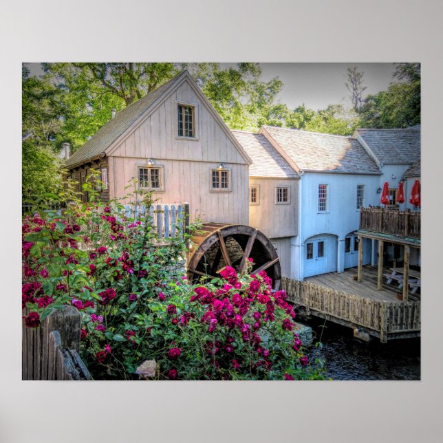 Roses at Plimoth Grist Mill Poster (Front)