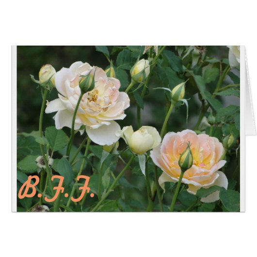 Roses B.F.F. Cards (Front Horizontal)
