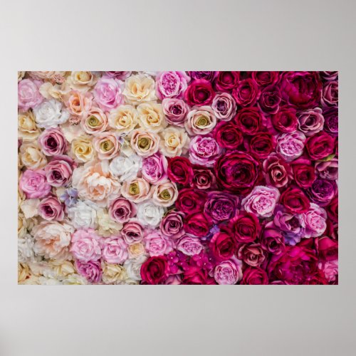 Roses Backdrop Poster