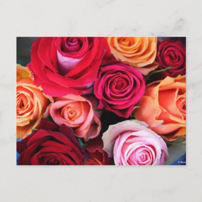 Roses Bouquet Postcard (Front)