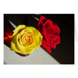 Roses Cards